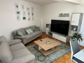 Arena apartment with 3 bedrooms in the city center